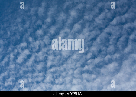 Altocumulus Wolkenformationen vor einem blauen Himmel Hintergrund gesetzt Stockfoto