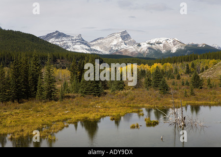 Übersicht der Biber Teich und Berge, Kananaskis Country, Alberta, Kanada Stockfoto