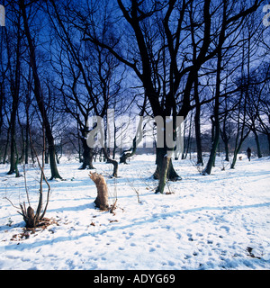 Winter-Schnee-Szene in einem Londoner Park. Stockfoto