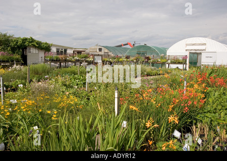 Ecke die Beth Chatto Gardens und Garten-Center Elmstead Markt in der Nähe von Colchester Essex GB UK Stockfoto