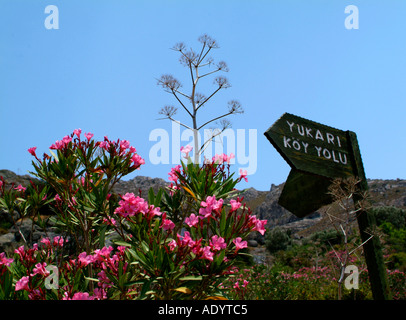 Alte Haus Karakaya Türkei Stockfoto