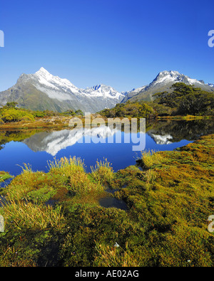 Key Summit mit Spiegelbild des Mt. Christina, Neuseeland, Südinsel, Fjordland Nationalpark Stockfoto