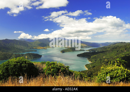 Blick vom Mount Onahau, Queen Charlotte Track zum Kenepuru Sound, Neuseeland, Südinsel, Marlborough Sounds NP Stockfoto