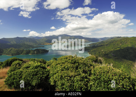 Blick vom Mount Onahau, Queen Charlotte Track zum Kenepuru Sound, Neuseeland, Südinsel, Marlborough Sounds NP Stockfoto