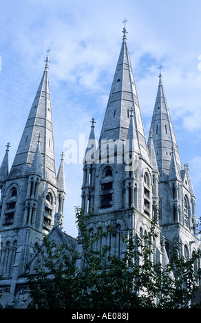 St. Finbarr s Kathedrale Cork Eire-Irland Stockfoto