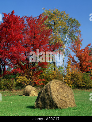 Heuballen auf Wiese im Herbst indischen Sommer New Hampshire USA Stockfoto