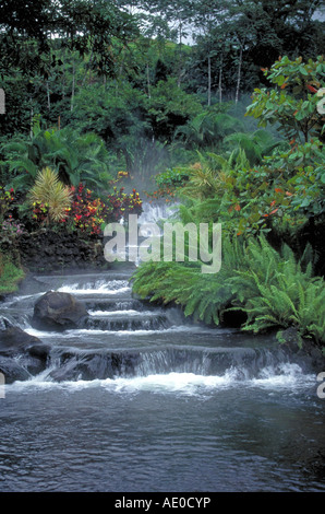 Ein Blick auf einen Regenwald Wasserfall in Tabacon Hot Springs in Costa Rica Hochland in der Nähe von Vulkan Arenal, Costa Rica. Stockfoto