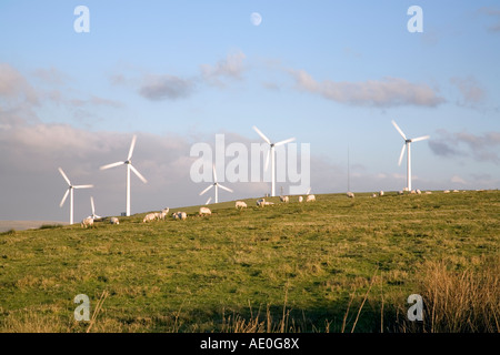 Ländliche Hügel mit einer Reihe von Windturbinen und Weideflächen Schafe gegen einen blauen Himmel mit etwas Wolke und die mond Stockfoto