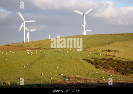 Ländliche Hügel mit einer Reihe von Windturbinen und Weideflächen Schafe gegen einen bewölkten Himmel gesetzt Stockfoto