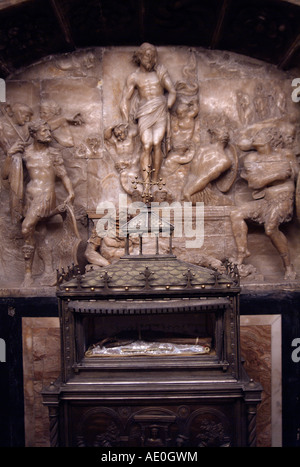 Uncorrupted Arm des St. Vinzenz Märtyrer. Santa Maria di Valencia Kathedrale Metropolitan Basilika. Valencia. Spanien Stockfoto