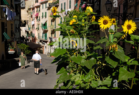Menschen vor Ort, gehen auf der Straße, zu Fuß den Hund, alte Welt Straßenszene, Riomaggiore, Cinque Terre, Ligurien, Italien Stockfoto