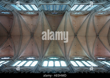 Hauptschiff der Kathedrale Notre-Dame (Amiens-Picardie-Frankreich) Stockfoto