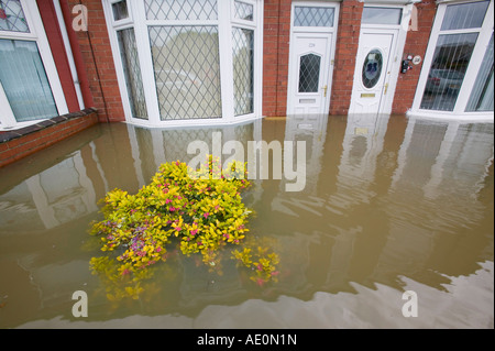 Die Überschwemmungen in Maut Bar in der Nähe von Doncaster, South Yorkshire, Großbritannien Stockfoto