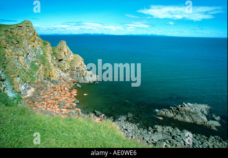 Walross (Odobenus Rosmarus), Masse der Stiere auf den Strand, USA, Alaska Stockfoto