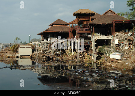 Blutbad in Khao Lak eine Woche nach dem Tsunami in Asien 2004 Stockfoto