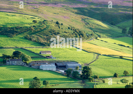 In der Nähe von Danby Esk Dale North Yorkshire England Stockfoto