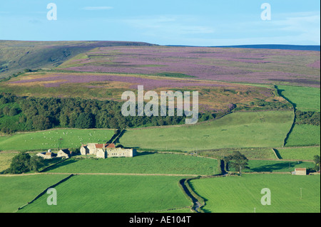 Danby Burg Esk Dale North Yorkshire England Stockfoto