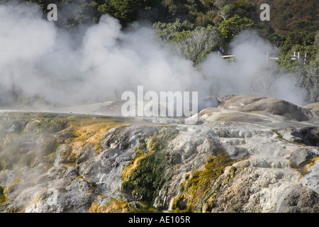 ROTORUA NORTH ISLAND Neuseeland kann heißer Dampf steigende aber mehrfarbigen Felsen in Whakarewarewa Geothermie-Tal in Te Puia Stockfoto