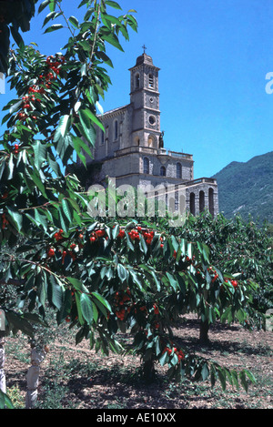 Kirche auf Felsen mit Kirschen am Baum Pierrelongue Frankreich Stockfoto