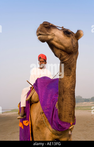 Uttar Pradesh Agra in Indien Porträt eines Mannes sitzt auf seinem Kamel mit bunten Turban außerhalb des Taj Mahal Stockfoto