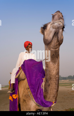 Uttar Pradesh Agra in Indien Porträt eines Mannes sitzt auf seinem Kamel mit bunten Turban außerhalb des Taj Mahal Stockfoto