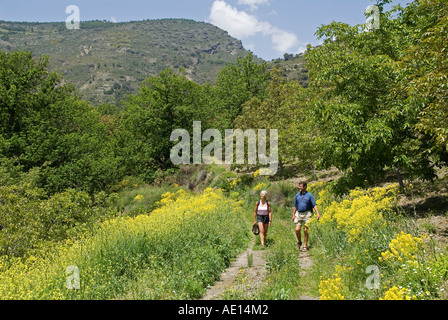 Ältere Wanderer in der Nähe von Berchules und Mecina Bombaron Alpujarras Andalusien Spanien im Herbst Stockfoto