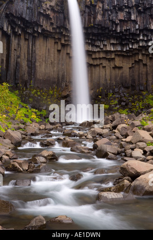 Island südlichen Vatnajökull Skaftafell Nationalpark Svartifoss-Wasserfall, der von flankiert wird, über schwarzen Basaltsäulen hängen Stockfoto