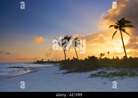 Sonnenuntergang am Strand von Dreams Tulum Resort suchen Süd Tulum Quintana Roo Mexiko Riviera Maya Stockfoto