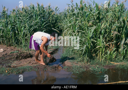 Ägypten Nordafrika Nahost Nile River Delta Bewässerung-Kanal laufen zwischen den Kulturen ausgehoben klar durch den Menschen Stockfoto