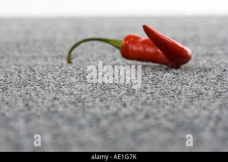 Rote Chilischote auf gemusterten Teppich Fliesenboden Stockfoto