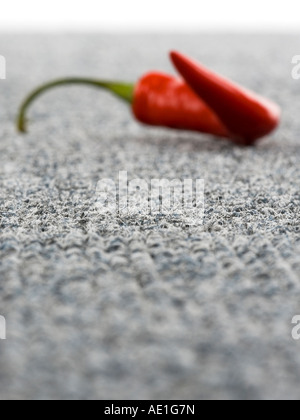 Rote Chilischote auf gemusterten Teppich Fliesenboden Stockfoto