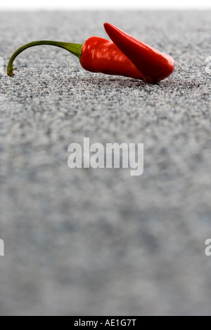 Rote Chilischote auf gemusterten Teppich Fliesenboden Stockfoto