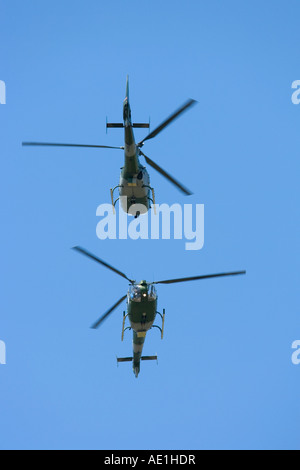 Britische Armee Westland WG-13 Lynx AH7 militärische Hubschrauber Blue Eagles anzeigen Stockfoto