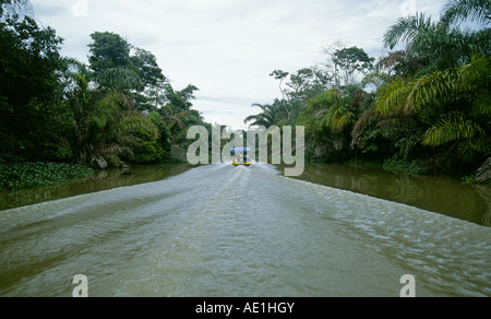 Ein Boot navigiert der Tortuguero-Kanal ein Binnenschiff entlang der karibischen Küste führt nach Tortuguero Nationalpark, Costa Rica. Stockfoto