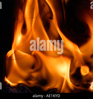 Flammen des Feuers an kurze Verschlusszeit erfasst Stockfoto