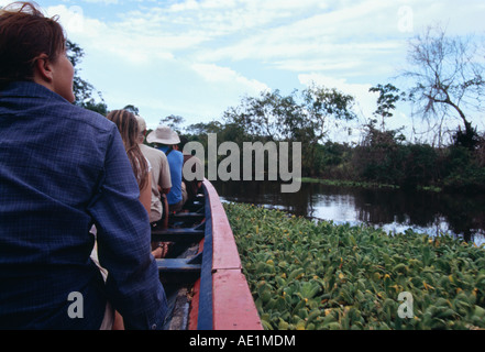 Bootsfahrt - Amazonasbecken, Beni, Bolivien Stockfoto
