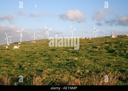 Ländliche Hügel mit einer Reihe von Windturbinen und Weideflächen Schafe gegen einen blauen Himmel mit etwas Wolke und die mond Stockfoto