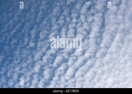 Altocumulus Wolkenformationen vor einem blauen Himmel Hintergrund gesetzt Stockfoto