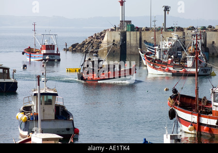 JAKOBSMUSCHEL TRAWLER BOOTE ERQUY FISCHEREI HAFEN BRETAGNE FRANKREICH Stockfoto