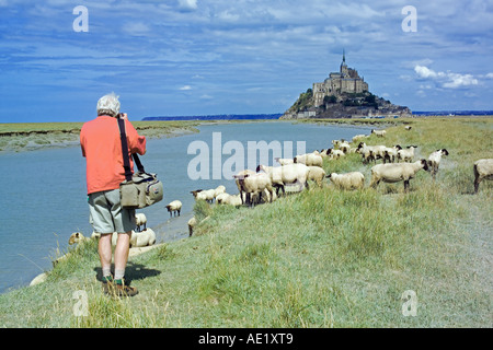 Man die Bilder von Schafbeweidung vor Mont St-Michel montieren Normandie Frankreich Stockfoto