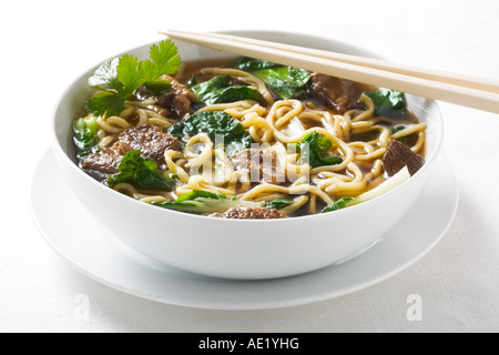 Rindfleisch Eintopf Nudeln Suppennudeln pikante Auster Soße Fleisch Rindfleisch chinesisches Essen mit Frühlingszwiebeln Schüssel weißen Teller leckere Stockfoto