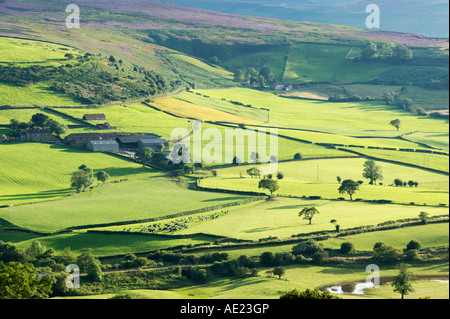In der Nähe von Danby Esk Dale North Yorkshire England Stockfoto