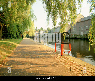 Fluss Wensum, Norwich, Norfolk im Sommer Stockfoto