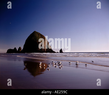 Haystack Rock in Cannon Beach Oregon USA Stockfoto