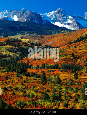 Herbst Farben Rocky Mountains Colorado USA, durch Willard Clay/Dembinsky Foto Assoc Stockfoto