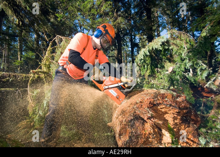 Eine Trail-Crew arbeitet um die West Coast Trail, BC Kanada zu löschen Stockfoto