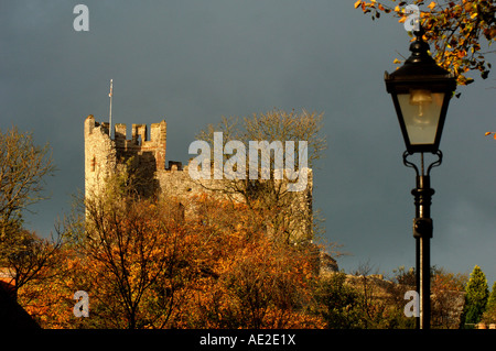 Dudley Castle, West Midlands, England, UK Stockfoto