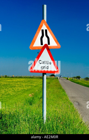 Vieh Raster Schild gesehen auf der Spur der Gräben bei Fairdean Downs in der Nähe von Coulsdon Surrey England UK Stockfoto