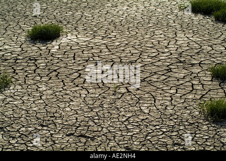 Getrocknet, Riverbed England-Sommer 2006 Stockfoto