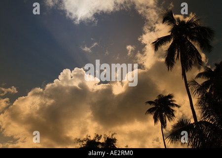 Gewitterwolken über Palmen auf Aitutaki Lagune in der Cook-Inseln-Südsee brauen Stockfoto